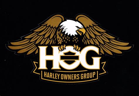 Hog group harley. Things To Know About Hog group harley. 